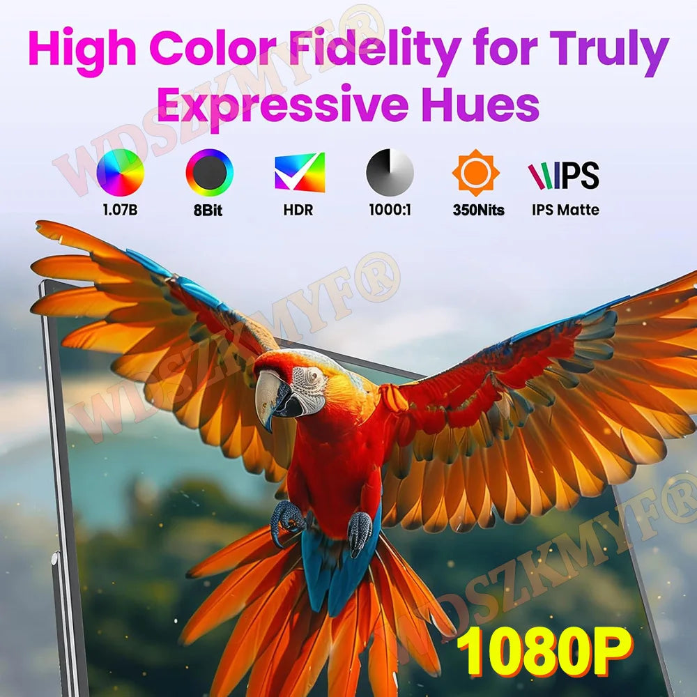 Portable External Wireless/Wired Monitor