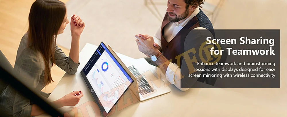 Portable External Wireless/Wired Monitor